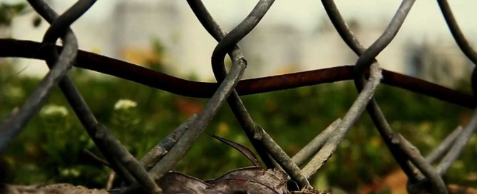 After Effects Free Presets