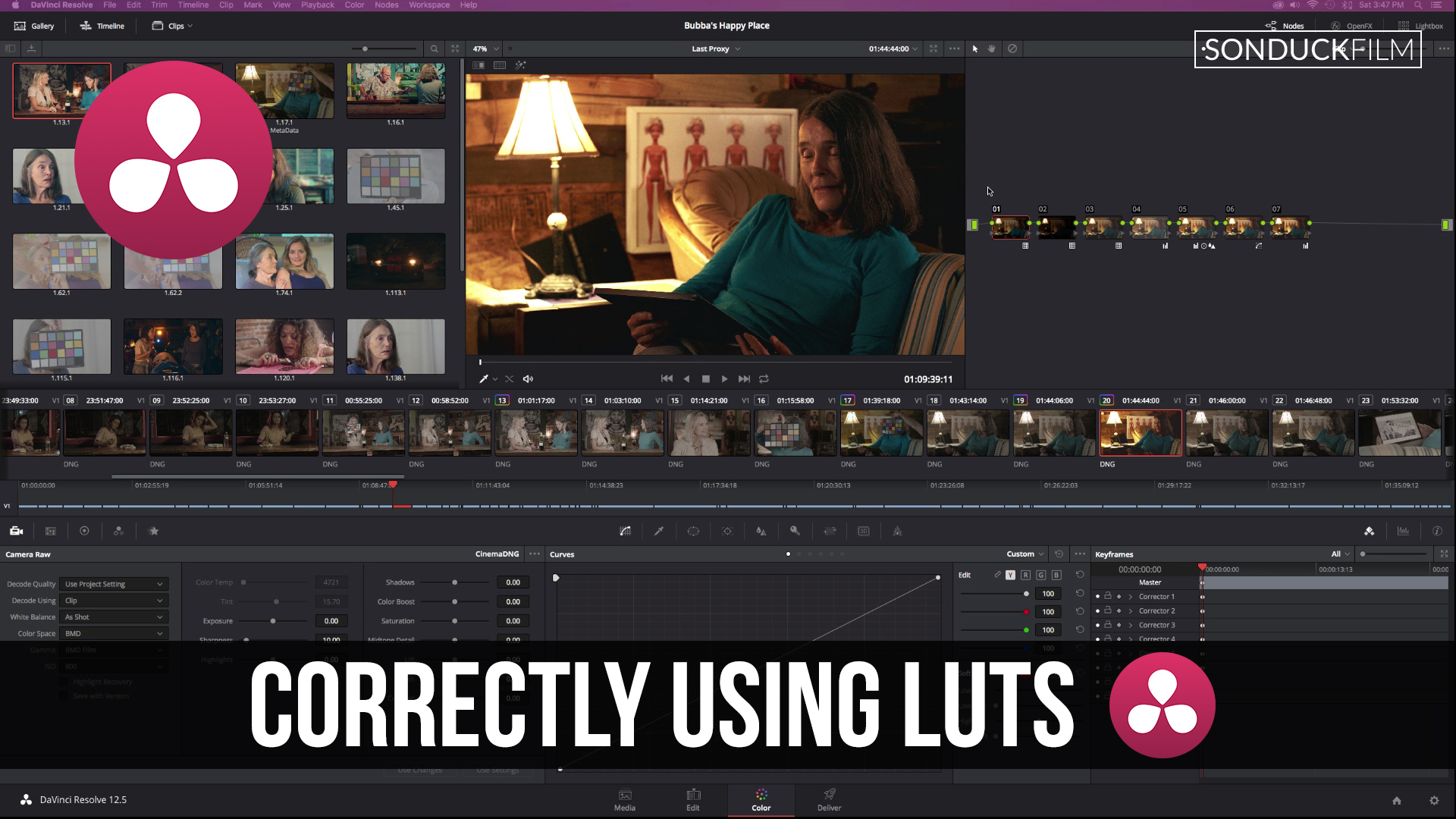 DaVinci-Resolve-Using-Luts-for-the-Film-Look